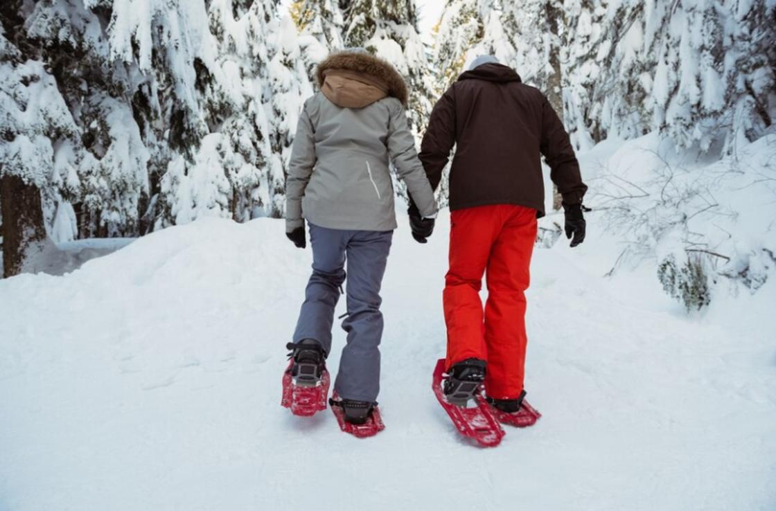 Люди на снегоступах гуляют по заснеженному лесу