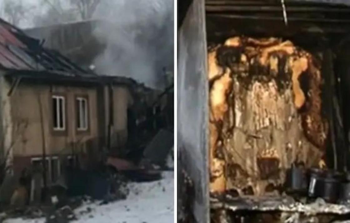 Алматыда жануарлар тірідей өртеніп кетті Алматыда жануарлар тірідей өртеніп кетті
