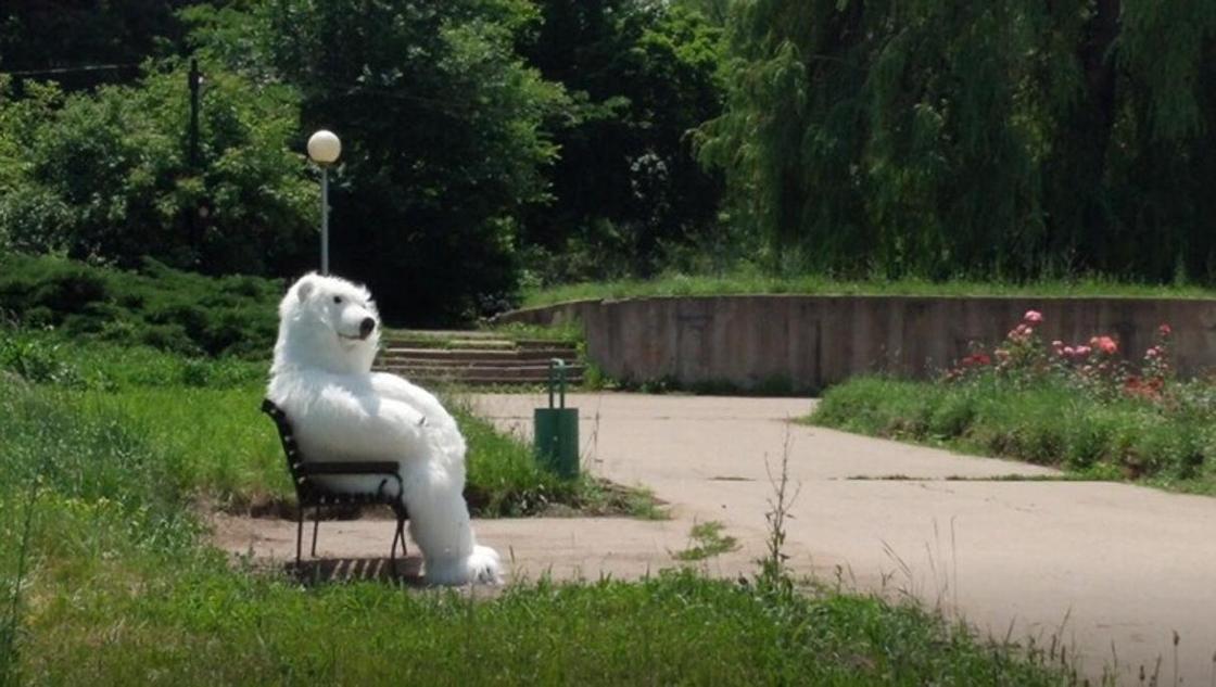 Очевидцы засняли белого медведя на «демонстрации» с алматинками