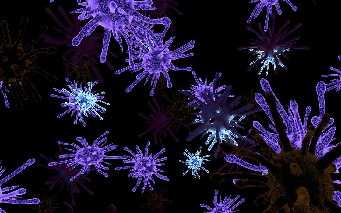 Как распознать коронавирус по шести симптомам
