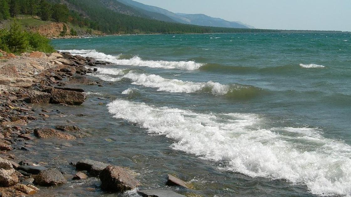Из-за размножения водоросли воды Байкала становятся токсичными