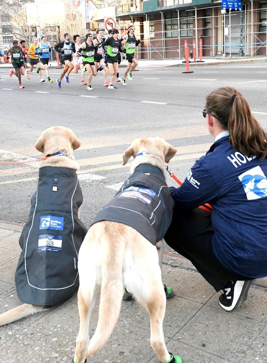 Впервые в мире: Слепой мужчина пробежал марафон с помощью собак-поводырей