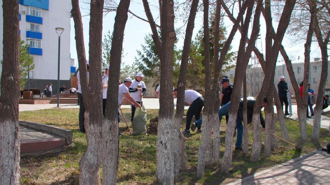 Студенты организовали экочеллендж