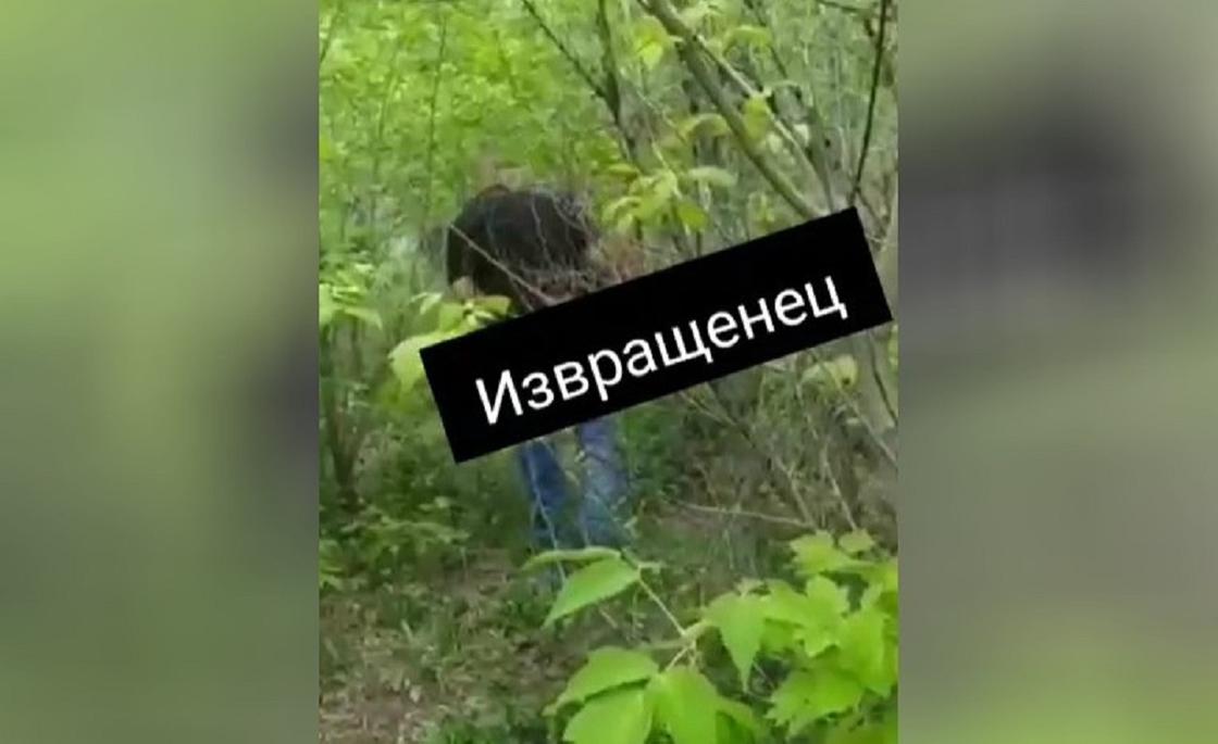 Павлодарцев напугал эксгибиционист-онанист в кустах на территории школы