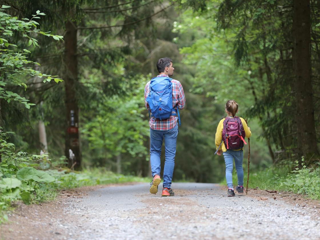 Отец и дочь идут по лесу с рюкзаками
