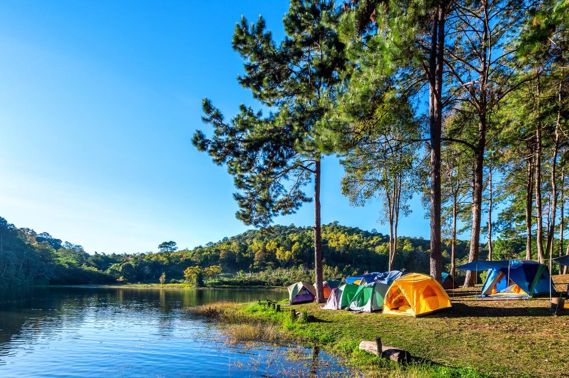 Палатки у озера под соснами