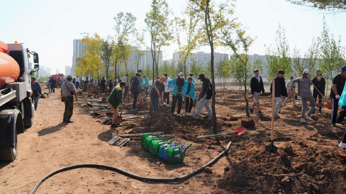 Экоакцию по посадке деревьев на Малом Талдыколе провели в Нур-Султане