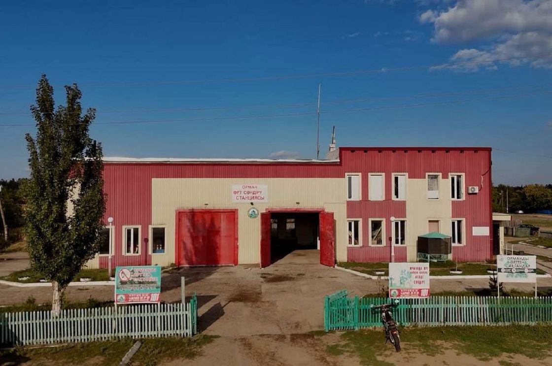 Лесные пожары