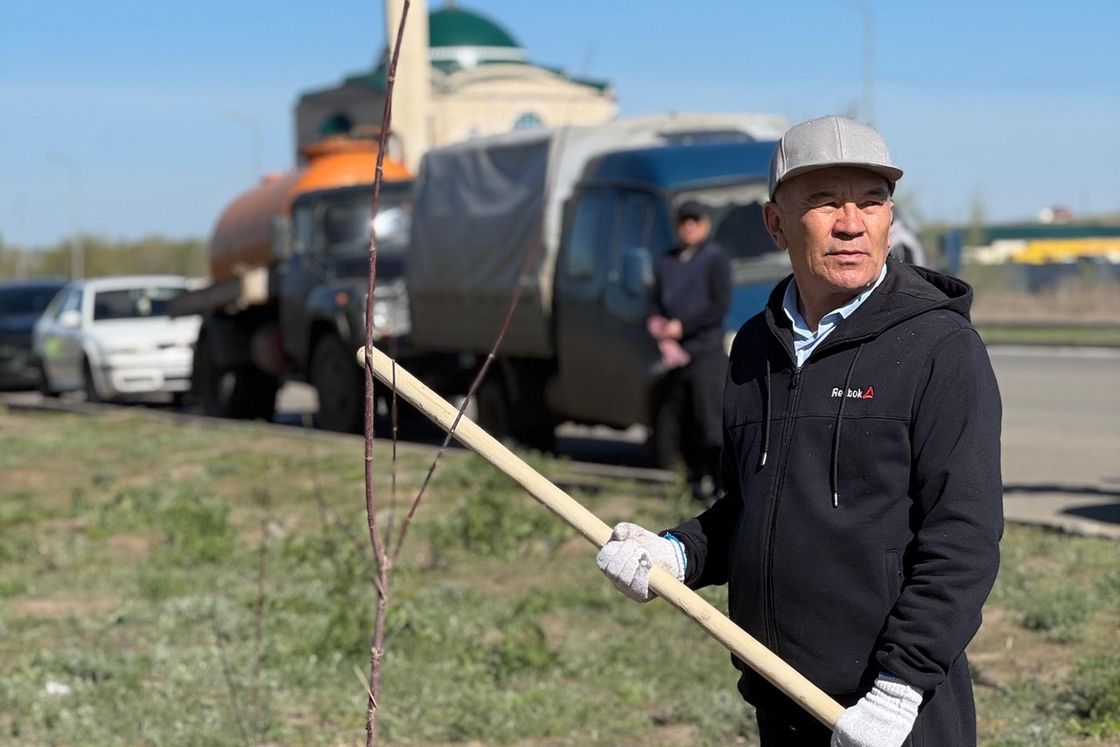 Тал көшеттерін отырғызу сәті