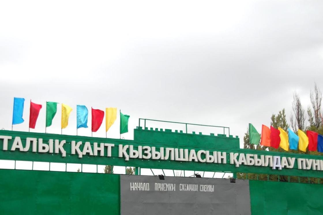 Жетісудағы қант зауыттары қант қызылшасын қабылдай бастады