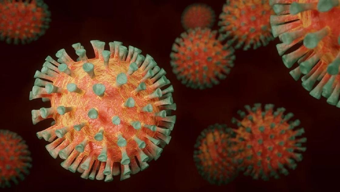 Ресейде 1 тәулікте 302 адам коронавирус жұқтырған