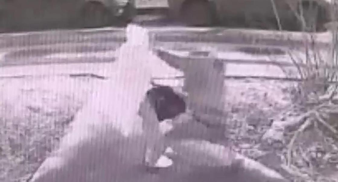 "Хрупкая" девушка в одиночку отбилась от четырех вооруженных грабителей (фото)