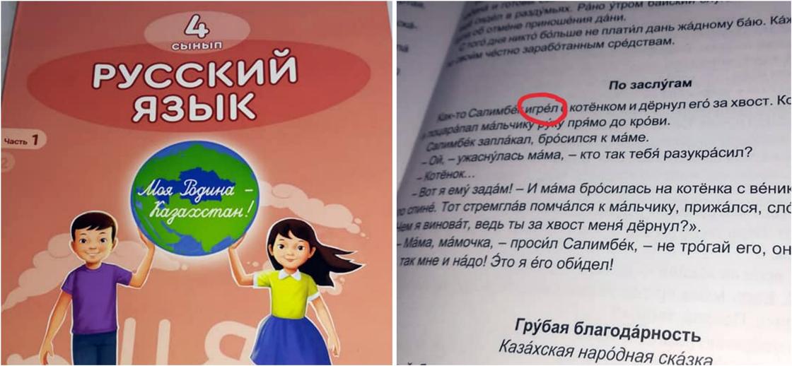 Казахстанцы нашли ошибку в учебнике по русскому языку (фото)