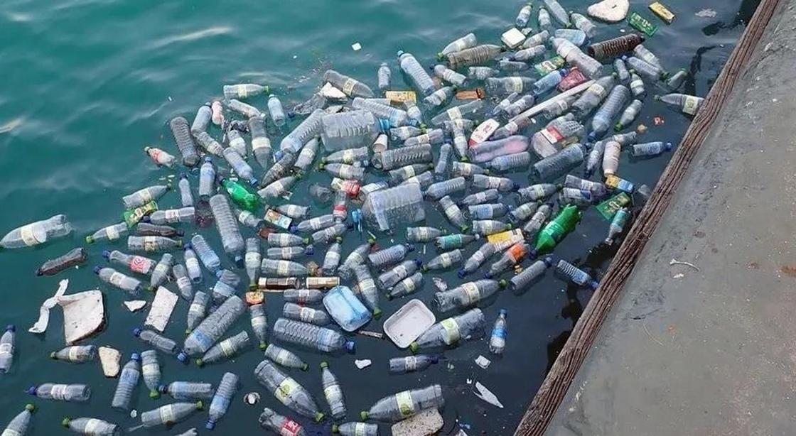 Ученые в ужасе: пластиковый мусор достиг Марианской впадины (видео)