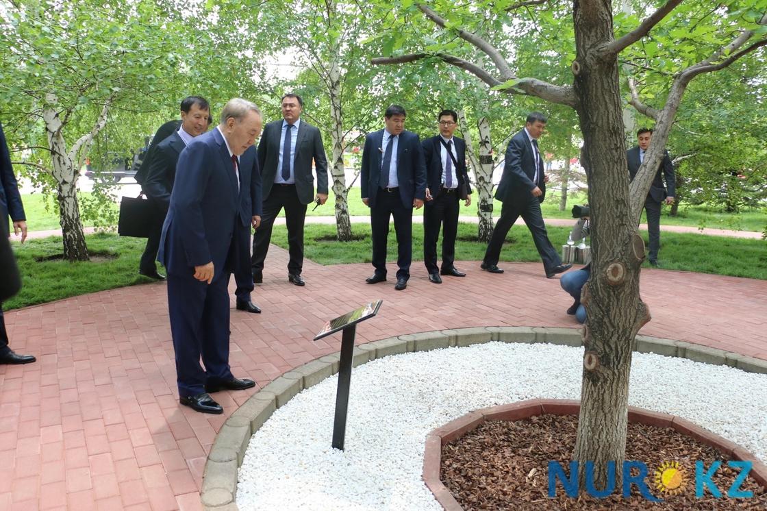 Назарбаев остановил кортеж ради дуба, который посадил 19 лет назад