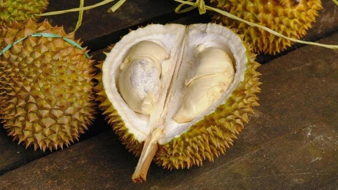 Протухшее мясо акулы и сыр с личинками: музей отвратительной еды откроют в Швеции Протухшее мясо акулы и сыр с личинками: музей отвратительной еды откроют в Швеции
