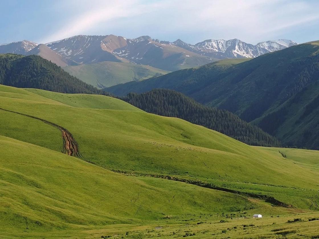 Плато Ассы Плато Ассы