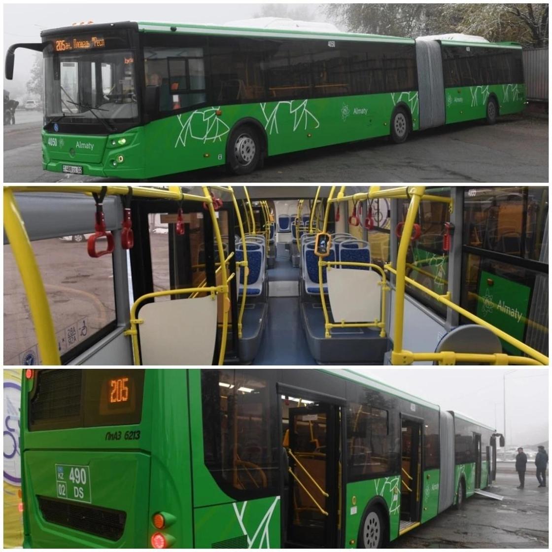 Новые автобусы-гармошки вышли на линию BRT в Алматы (фото)