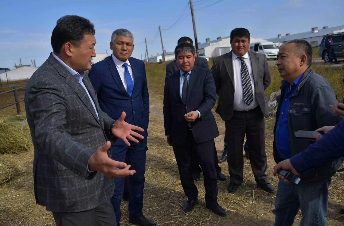 Во всех опорных сёлах Павлодарской области построены новые ветеринарные пункты