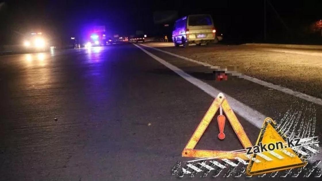 На Капшагайской трассе пешехода-нарушителя разорвало на части На Капшагайской трассе пешехода-нарушителя разорвало на части