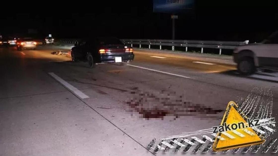 На Капшагайской трассе пешехода-нарушителя разорвало на части На Капшагайской трассе пешехода-нарушителя разорвало на части