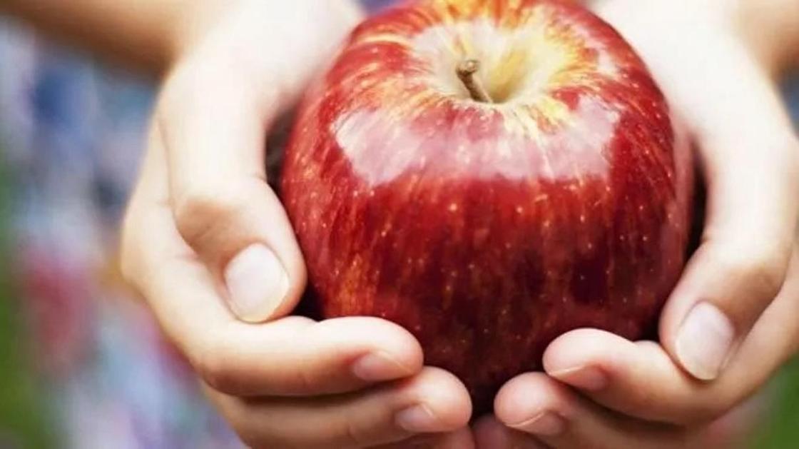 Ученые: родиной «яблока раздора» Адама и Евы является Казахстан