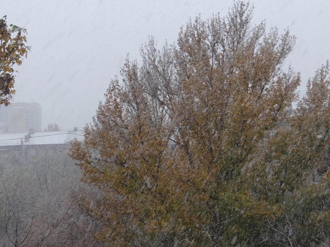 "Устали от лета и грязи, здравствуй зима!": как карагандинцы отреагировали на первый снег (фото)