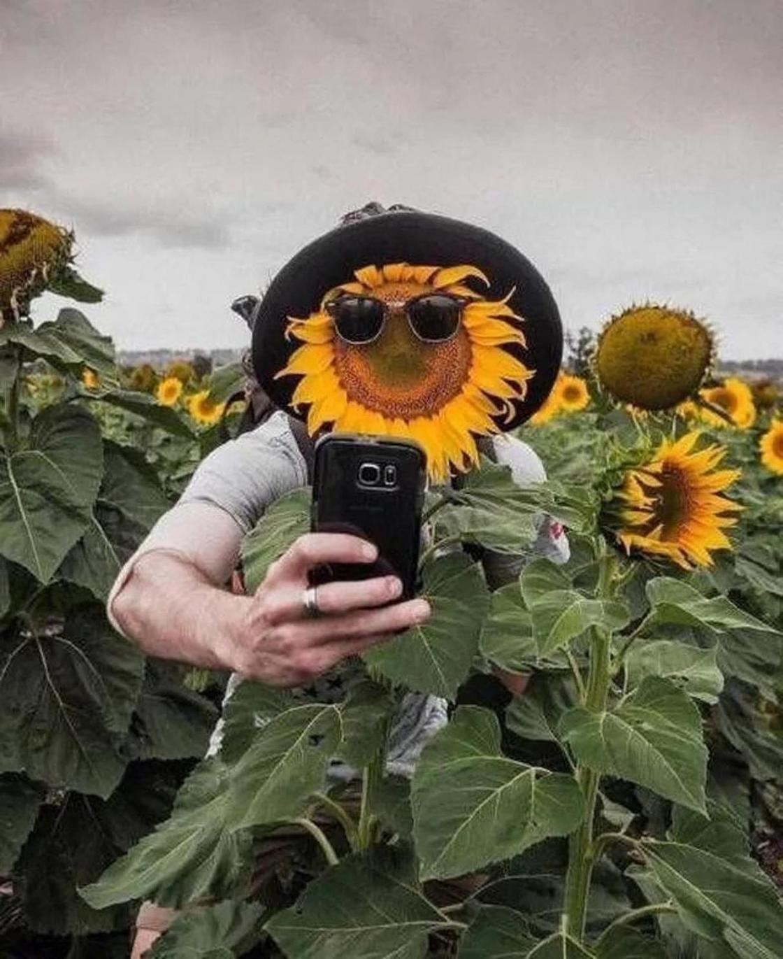 Фотографии вместо тысячи слов Фотографии вместо тысячи слов