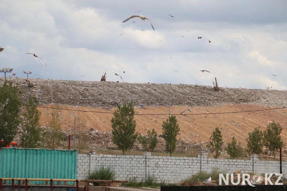 Главная помойка Астаны: Что делают на свалке с мусором астанчан (фото)