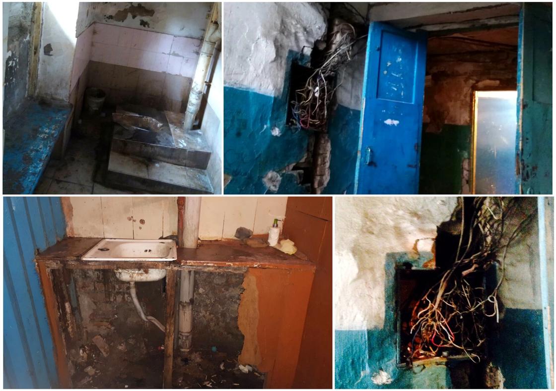 Плесень, грибки, клопы, блохи: Страшные кадры из общежития показали астанчане