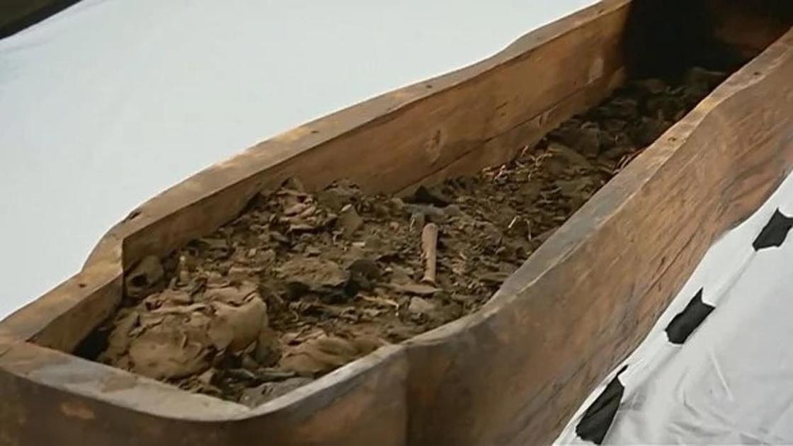 Университет музейіндегі тас табыттың ішінен мумия табылды