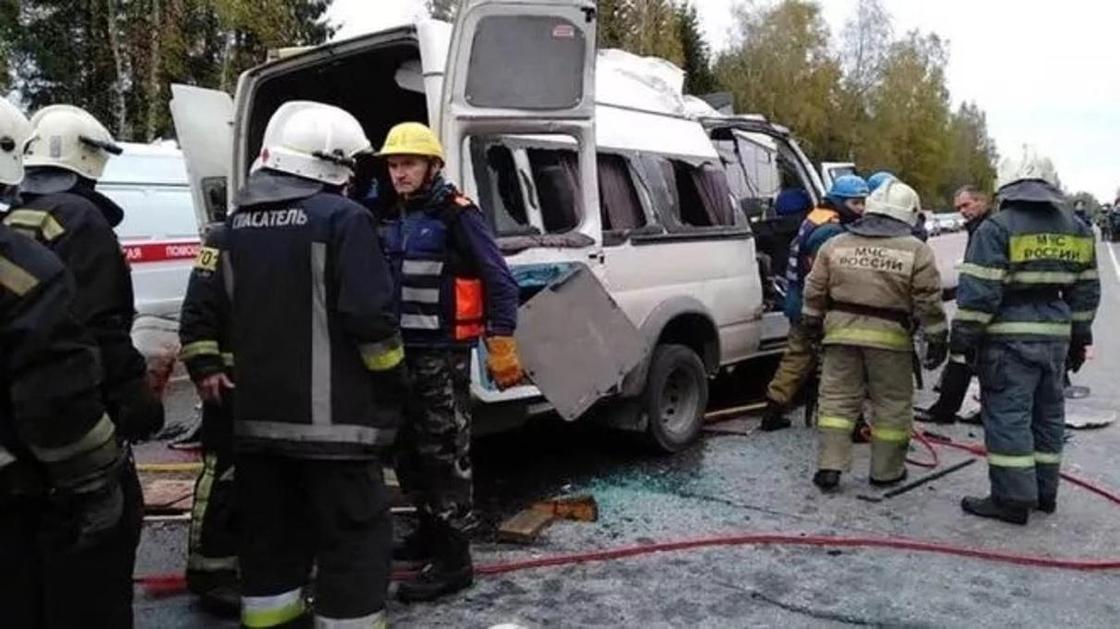 Под Тверью лоб в лоб столкнулись автобус и маршрутка, 13 погибших Под Тверью лоб в лоб столкнулись автобус и маршрутка, 13 погибших