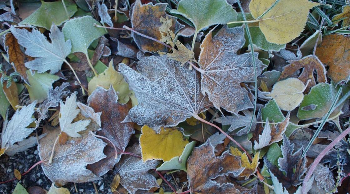 Заморозки до 3 градусов: на территории Казахстана ожидается понижение температуры
