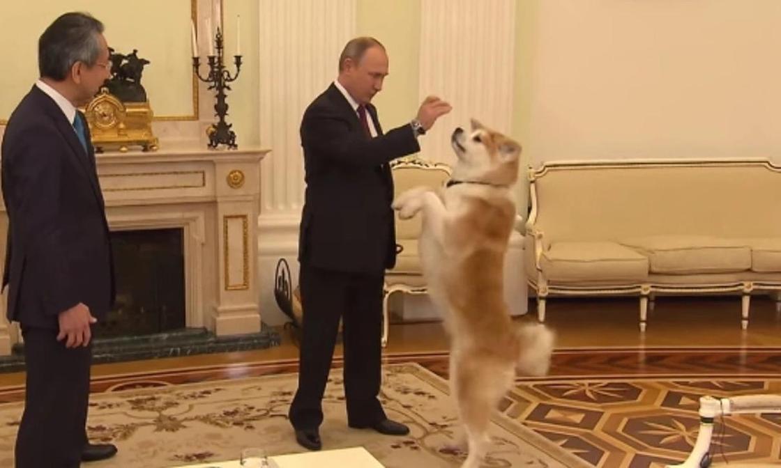 "Она строгая собака": питомец Путина облаял японцев (видео)