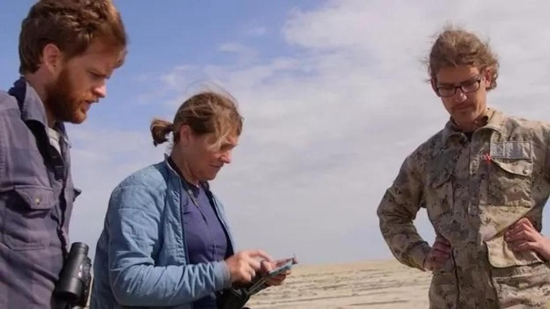 Ровесники мамонтов: как ученые пытаются спасти сайгаков в Казахстане