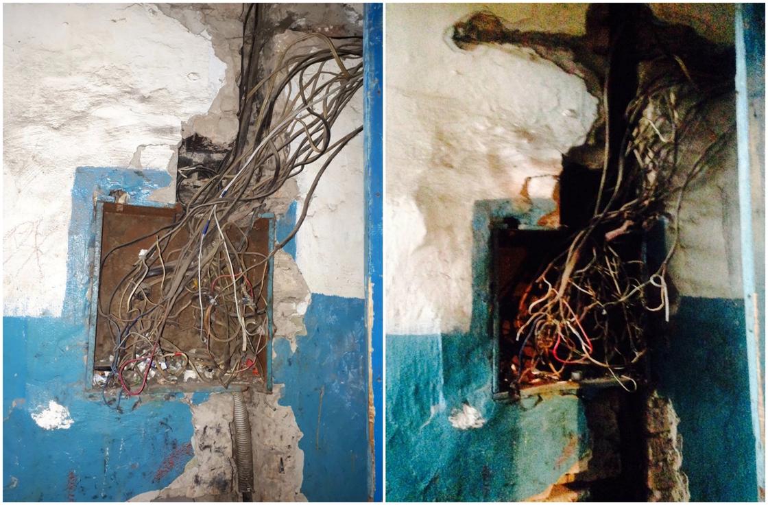 Плесень, грибки, клопы, блохи: Страшные кадры из общежития показали астанчане