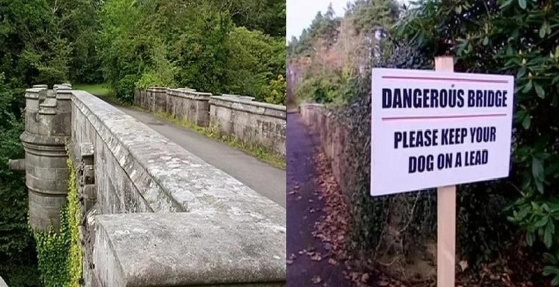 Мистический мост, на котором собаки совершают самоубийства