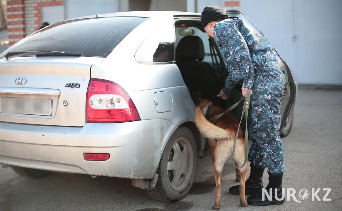 08.03 Девушка-полицейский из Астаны рассказала, как справляется с собаками на службе