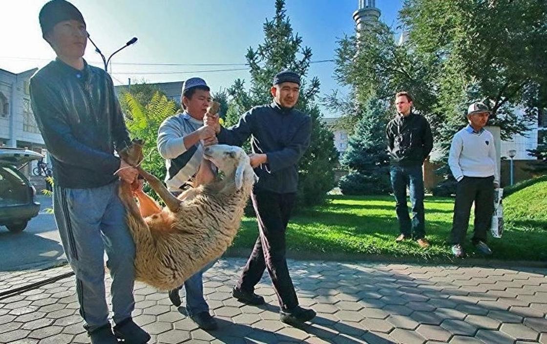 Праздник Курбан-айт: сколько дней отдыхаем Праздник Курбан-айт: сколько дней отдыхаем