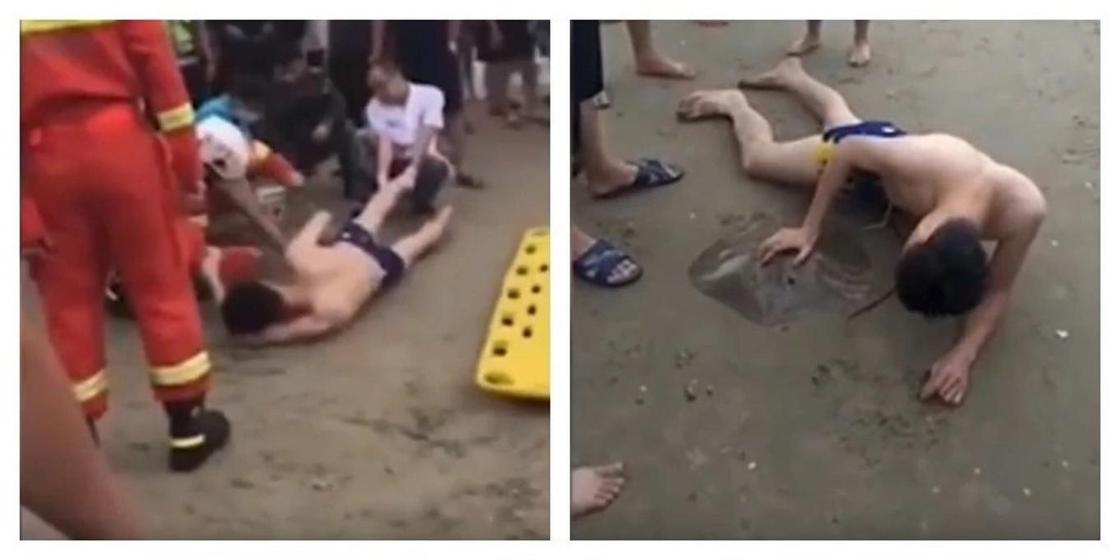 Огромный скат напал на туриста и вцепился ему в половой орган (видео)