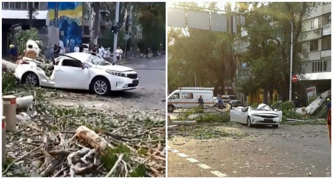 Огромное дерево рухнуло на авто с людьми в центре Алматы (фото, видео)