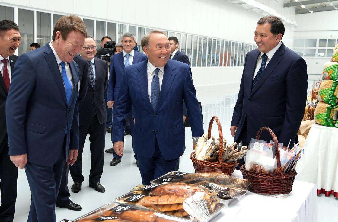 Зачем Назарбаев ездил в Атыраускую область (фото)