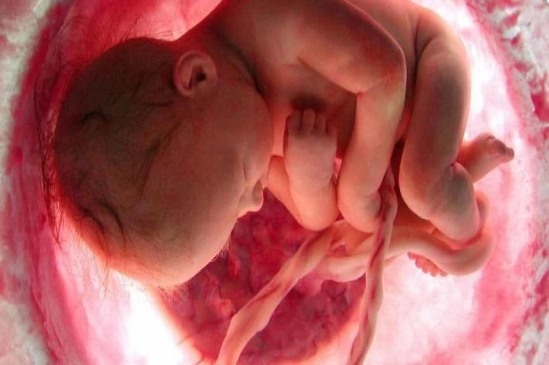 «Очистка человечества»: ученые предложили модифицировать ДНК людей прямо в утробе матери