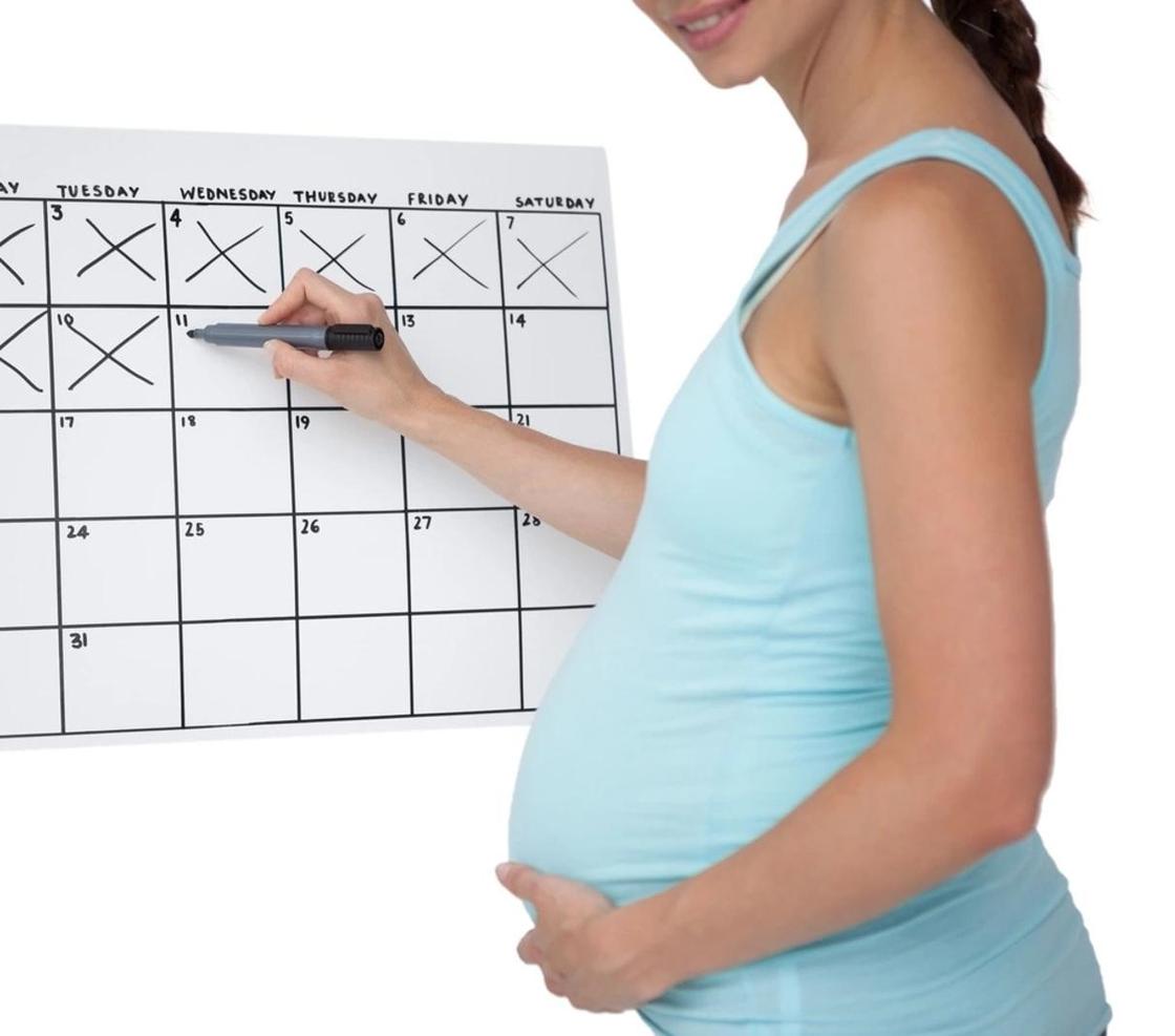 Сколько недель длится беременность