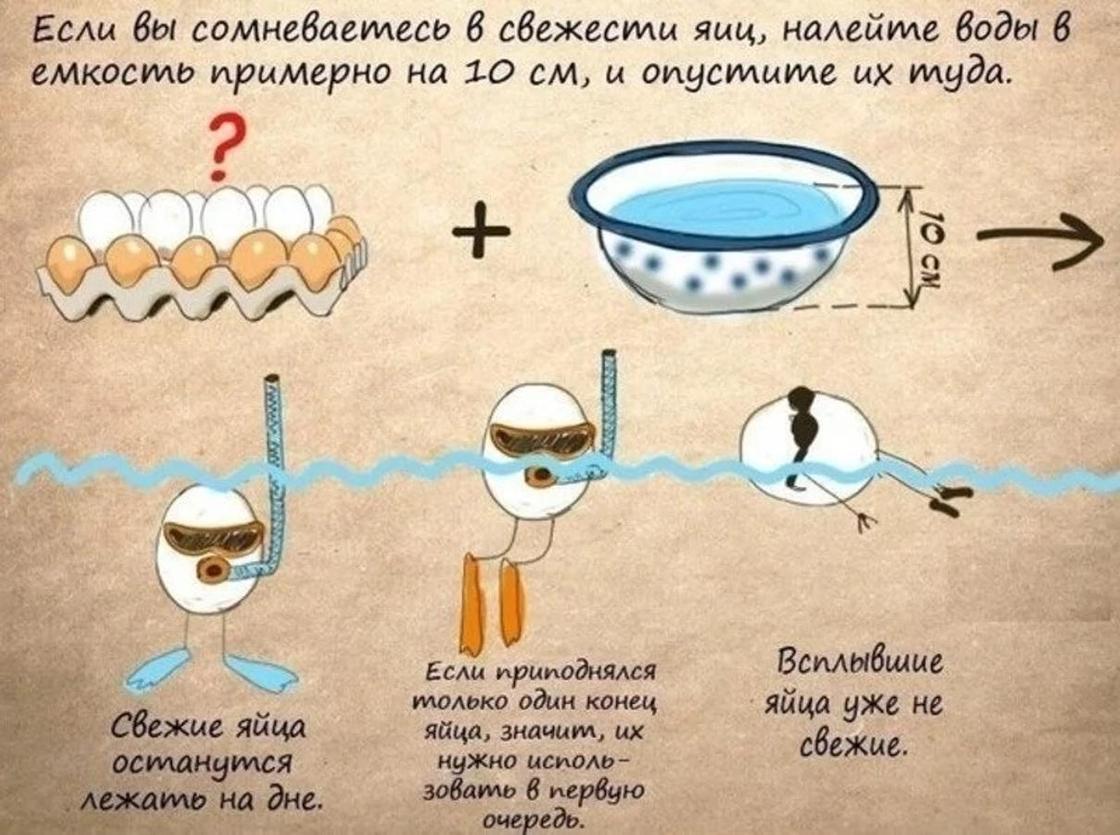 чтобы яйца лучше чистились что нужно. Смотреть фото чтобы яйца лучше чистились что нужно. Смотреть картинку чтобы яйца лучше чистились что нужно. Картинка про чтобы яйца лучше чистились что нужно. Фото чтобы яйца лучше чистились что нужно