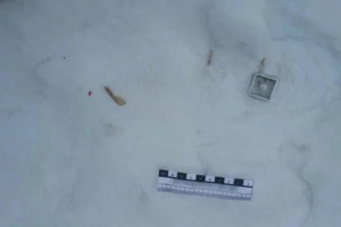 Тело обнаженной женщины нашли в снегу в Уральске