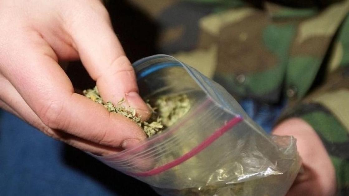 277 кг марихуаны изъяли полицейские в Экибастузе