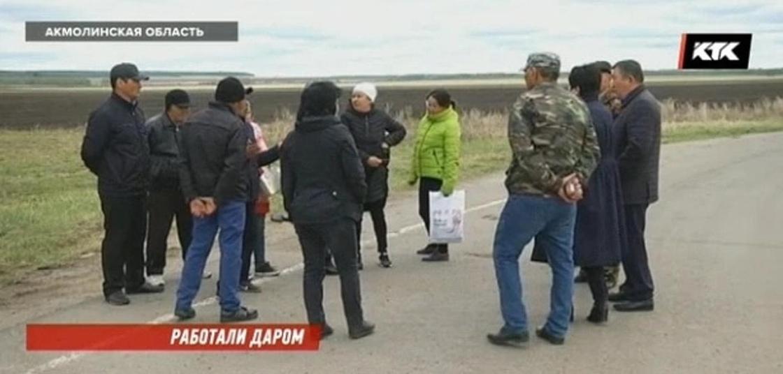 Рабочие, которые высаживали деревья вдоль трассы Астана - Щучинск, устроили скандал
