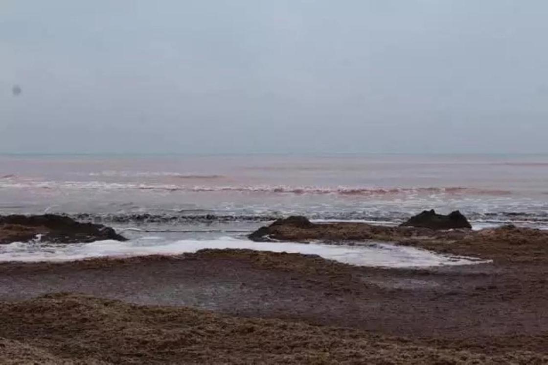 Воды Каспия стали красными в Актау (фото, видео)