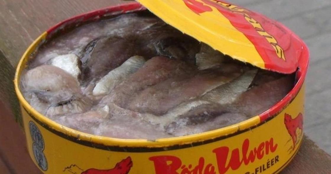 Кумыс попал в музей самой отвратительной еды